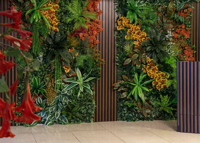 Latifoglu アンカラ